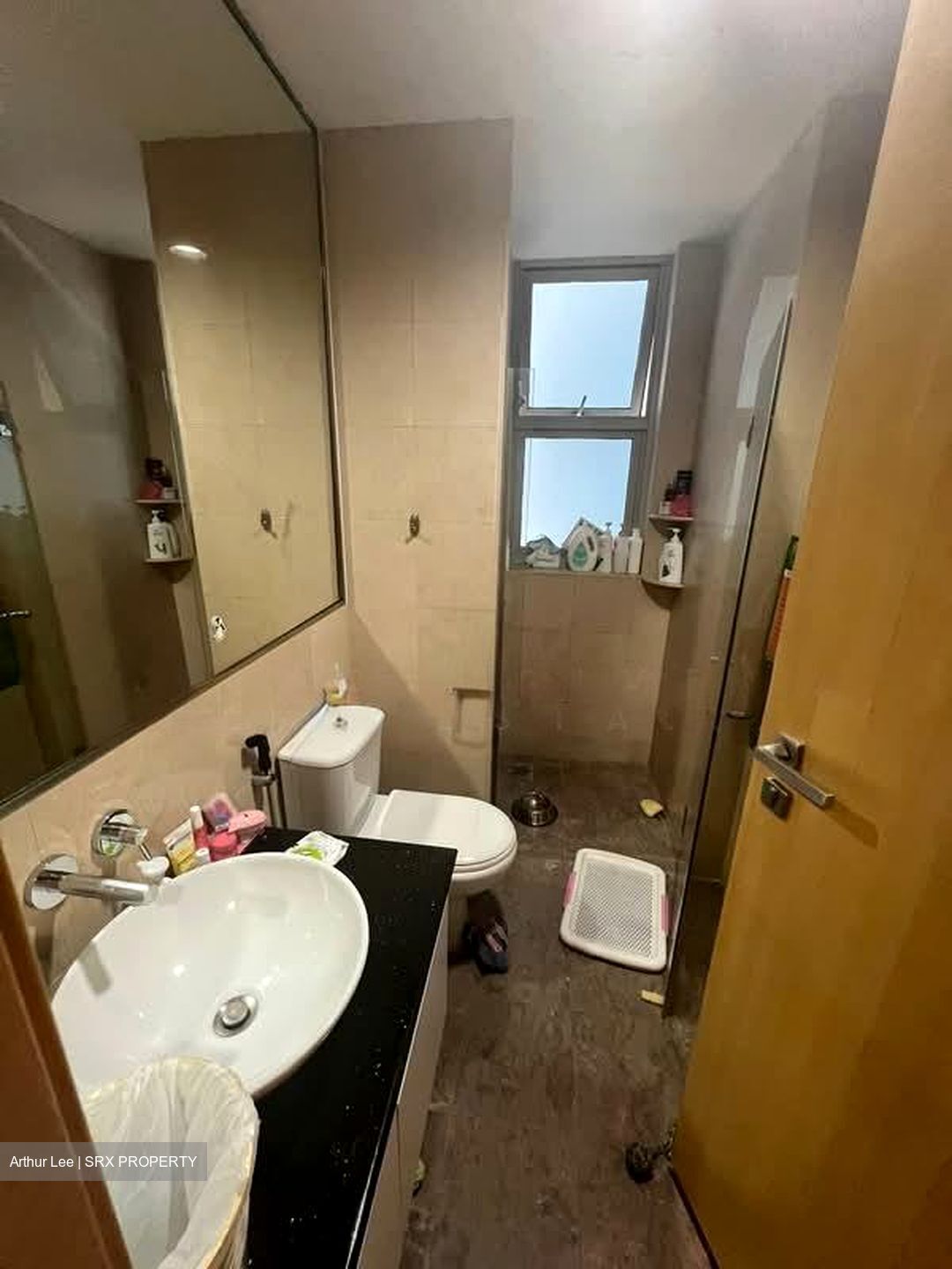 Cairnhill Crest (D9), Condominium #597607291
